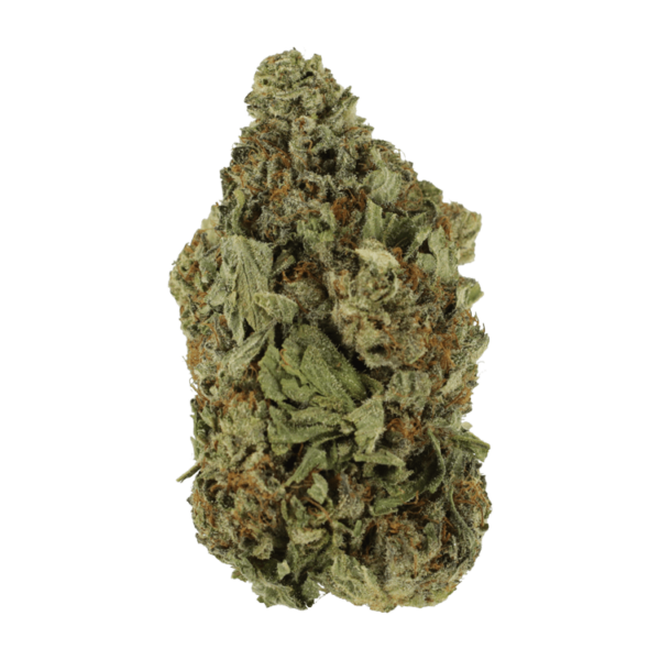 Shishkaberry | Herbal Dispatch Canada