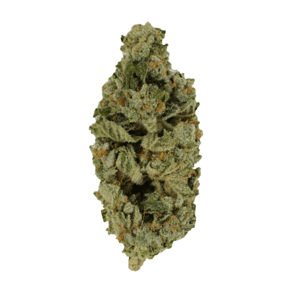 Crazy Glue | Herbal Dispatch Canada