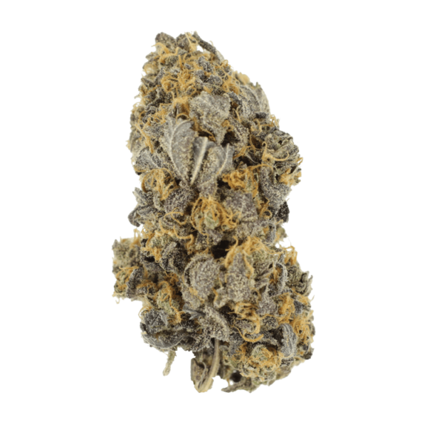 Mcgrupp | Herbal Dispatch Canada
