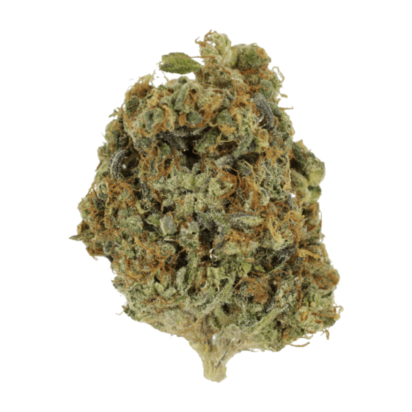 Sunset Sherbert | Herbal Dispatch Canada