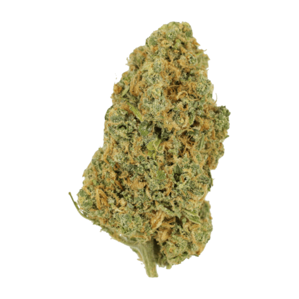 Lemon Bomb | Herbal Dispatch Canada