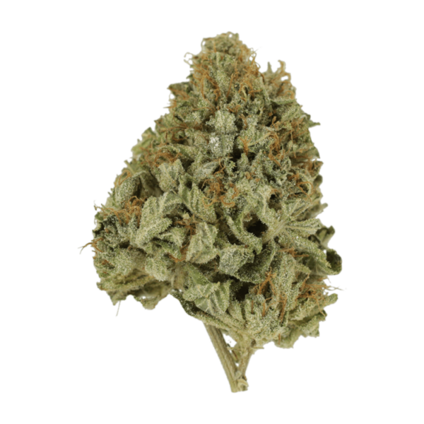 Pineapple Kush | Herbal Dispatch Canada