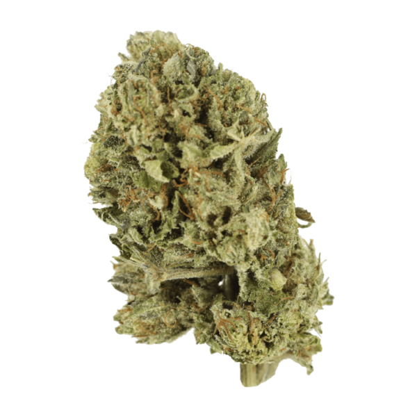 Purple OG Kush – 1 ounce | Herbal Dispatch Canada