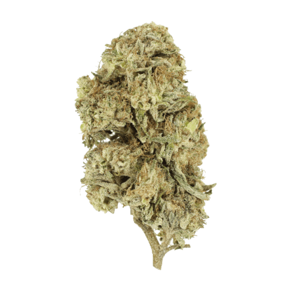 Cherry Wine (CBD) | Herbal Dispatch Canada