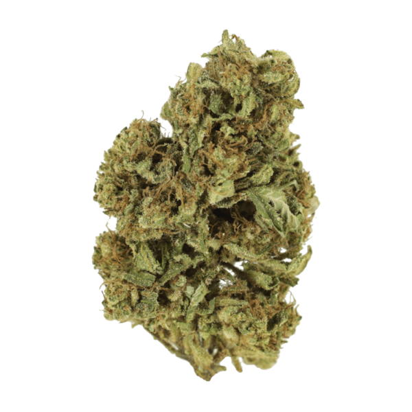 Cherry Wine (CBD) | Herbal Dispatch Canada