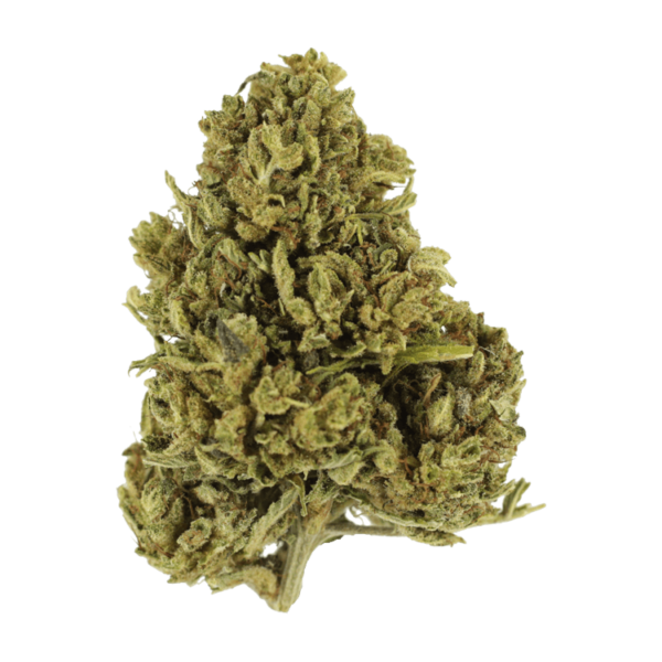 Cherry Wine (CBD) | Herbal Dispatch Canada