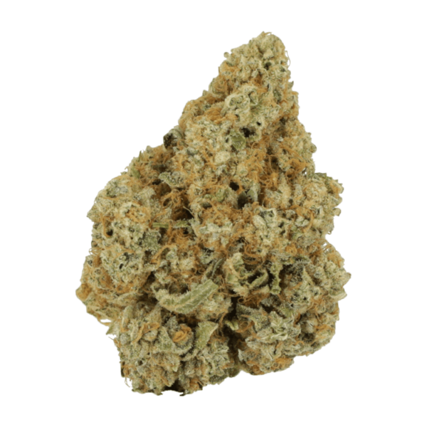 Black Cherry Punch | Herbal Dispatch Canada