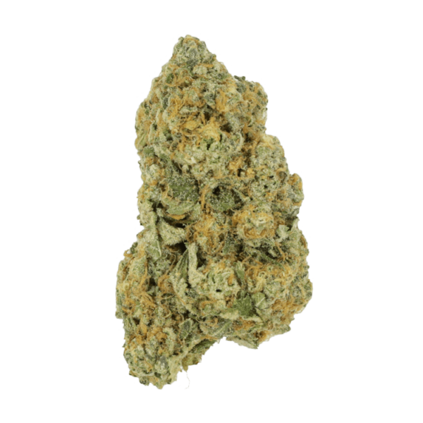 Black Cherry Punch | Herbal Dispatch Canada