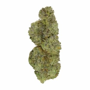 Strawberry Cough | Herbal Dispatch Canada