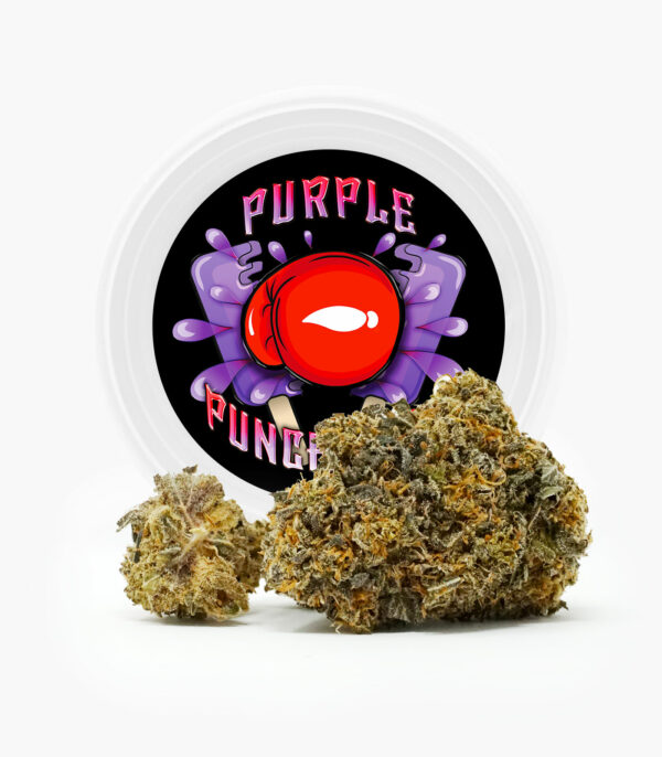 Westcoast Cali Tins – Premium Flower – Purple Punchsicle – 14g | Herbal Dispatch Canada