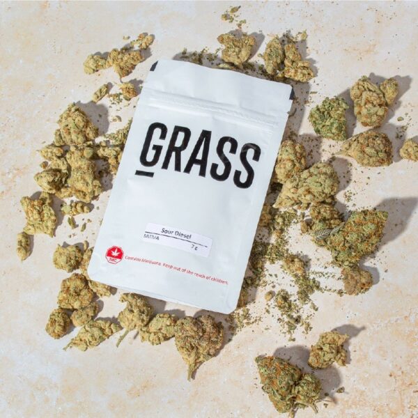 1/2OZ Sample Pack (AAA) – SAVE 20% | Herbal Dispatch Canada