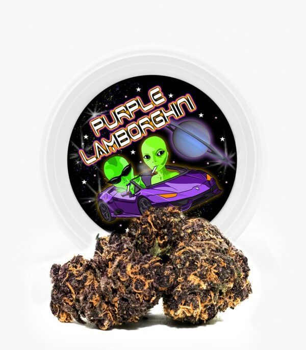Westcoast Cali Tins – Premium Flower – Purple Lamborghini – 3.5g | Herbal Dispatch Canada