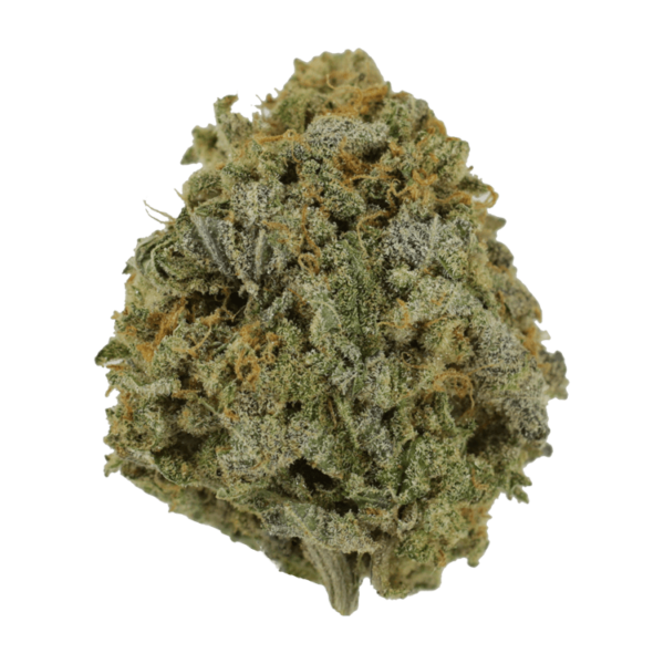 Pink Tuna (Popcorn) – $40/oz | Herbal Dispatch Canada