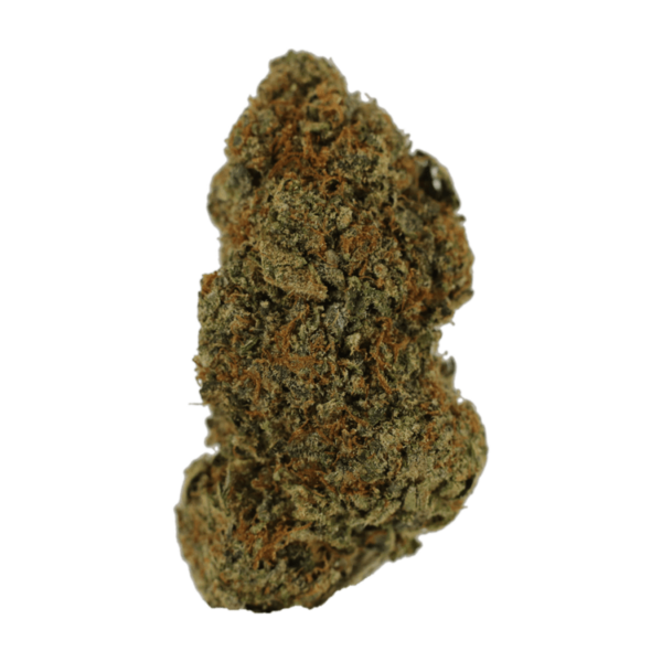 Donkey Butter | Herbal Dispatch Canada