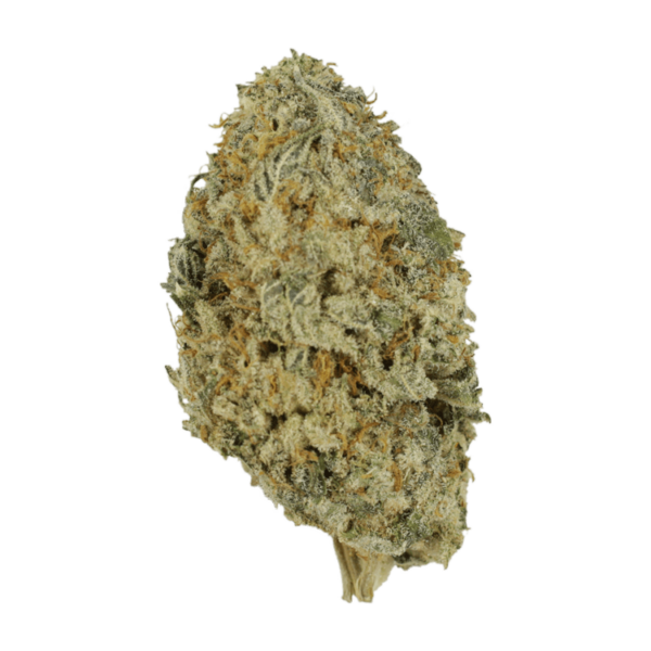 Donkey Butter | Herbal Dispatch Canada