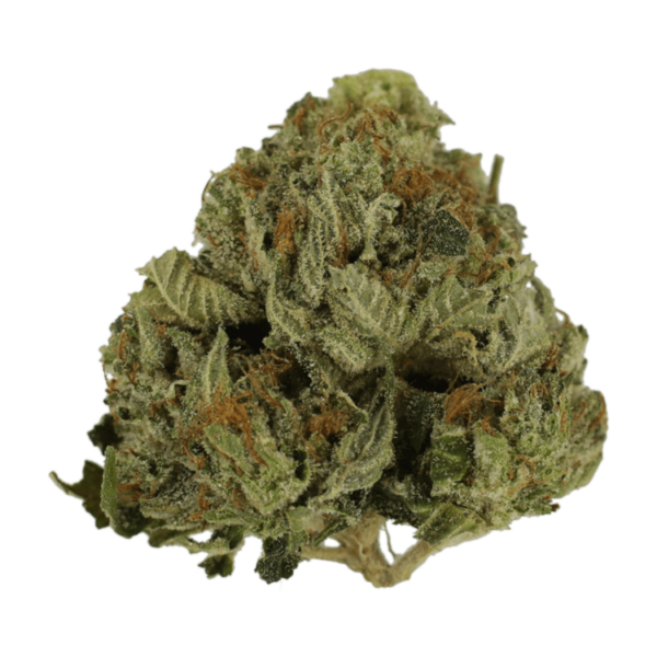 Pink Animal – 1 ounce | Herbal Dispatch Canada