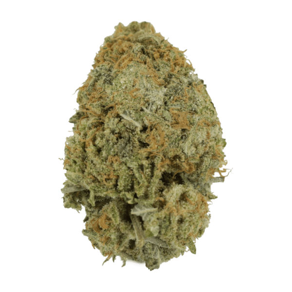 Pink Tuna (Popcorn) – $40/oz | Herbal Dispatch Canada