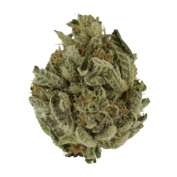 Biscotti Sundae | Herbal Dispatch Canada