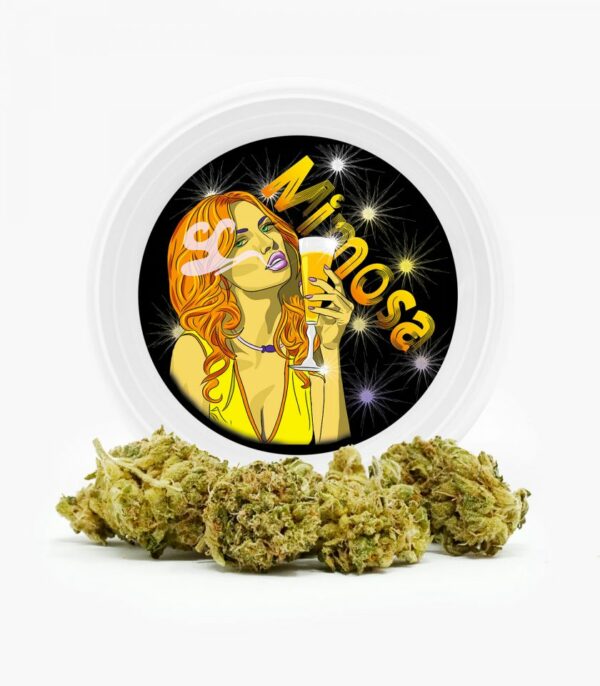 Westcoast Cali Tins – Premium Flower – Mimosa – 3.5g | Herbal Dispatch Canada