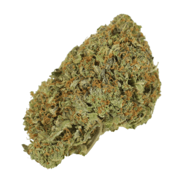 Garlic Breath – 1oz / $60 | Herbal Dispatch Canada