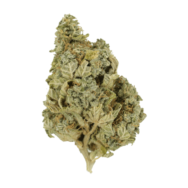 Khalifa Kush | Herbal Dispatch Canada