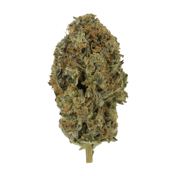 Acapulco Gold | Herbal Dispatch Canada