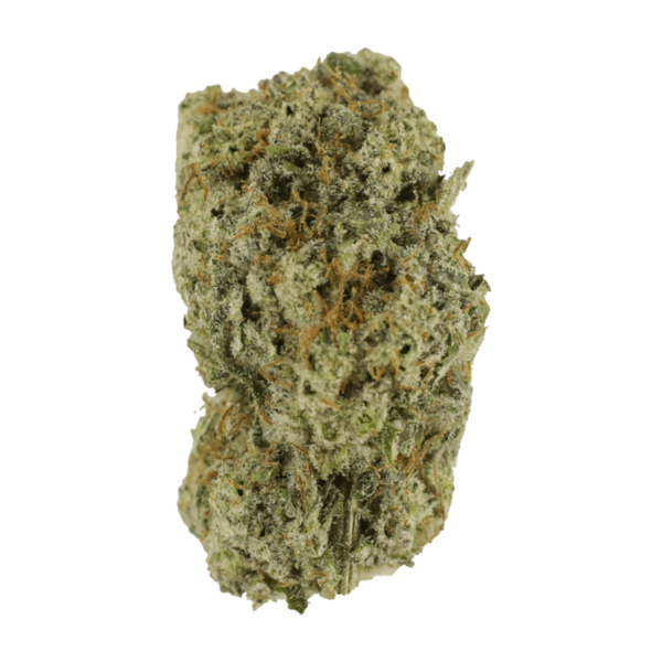 Eleven Roses | Herbal Dispatch Canada