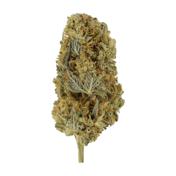 Headband | Herbal Dispatch Canada