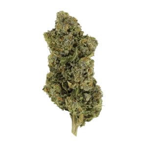 Jokerz | Herbal Dispatch Canada