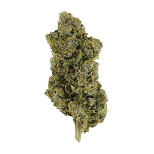 Jokerz | Herbal Dispatch Canada