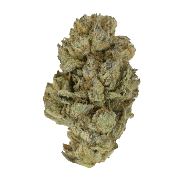 Pink Candy Kush | Herbal Dispatch Canada