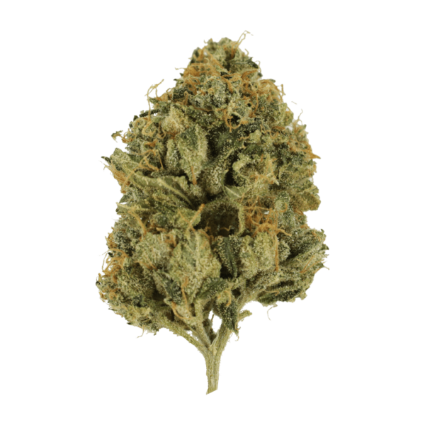 Fire OG | Herbal Dispatch Canada