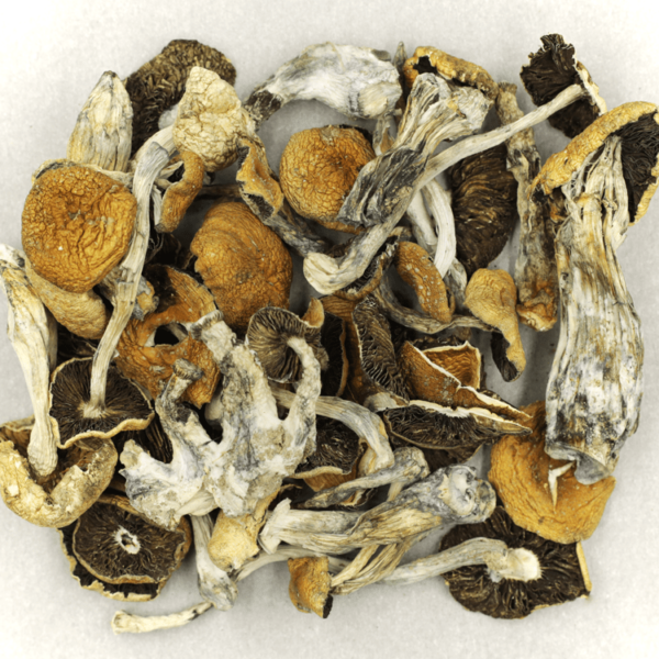 Puerto Rican | Herbal Dispatch Canada