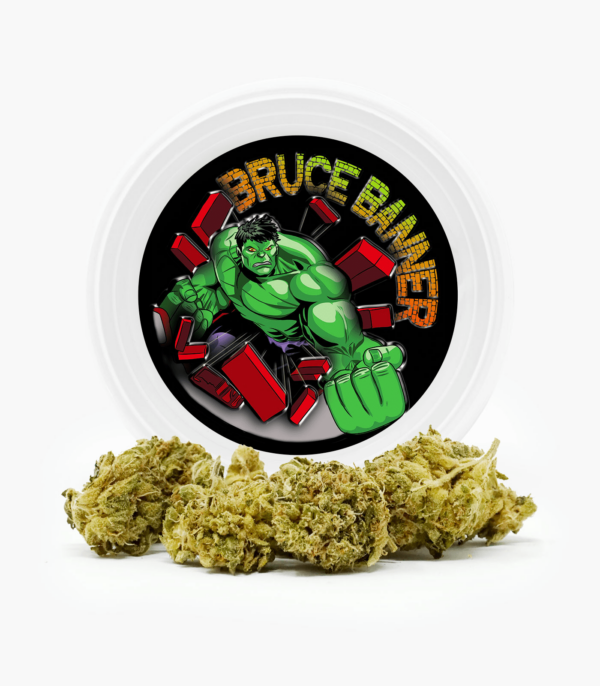 Westcoast Cali Tins – Premium Flower – Mendo Breath – 14g | Herbal Dispatch Canada