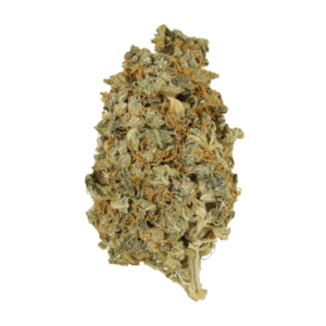 Mint Cookies | Herbal Dispatch Canada