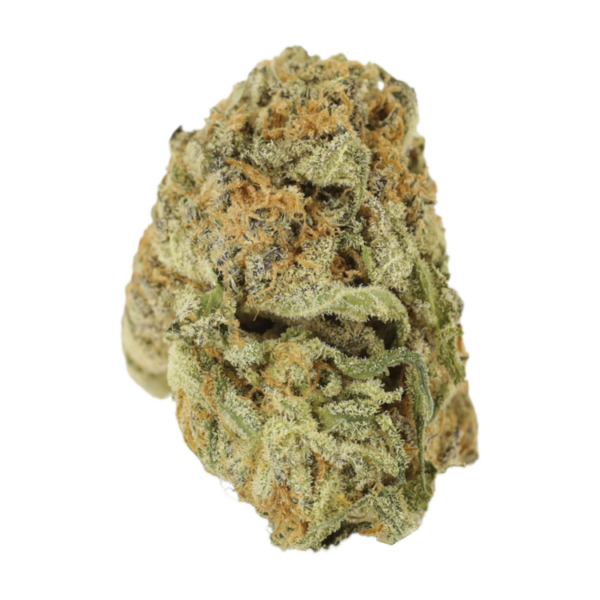 Mimosa Punch | Herbal Dispatch Canada