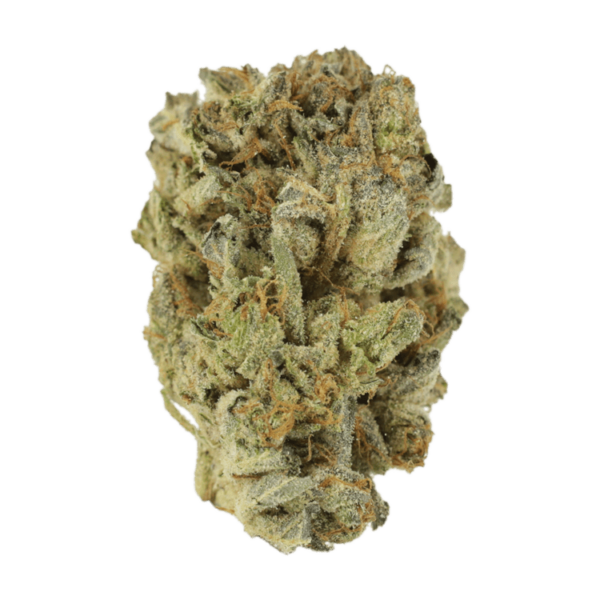 Mimosa Punch | Herbal Dispatch Canada