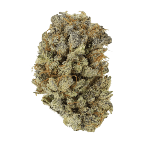 Mimosa Punch | Herbal Dispatch Canada