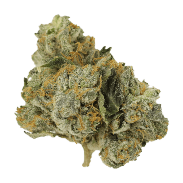 Mango Cream | Herbal Dispatch Canada