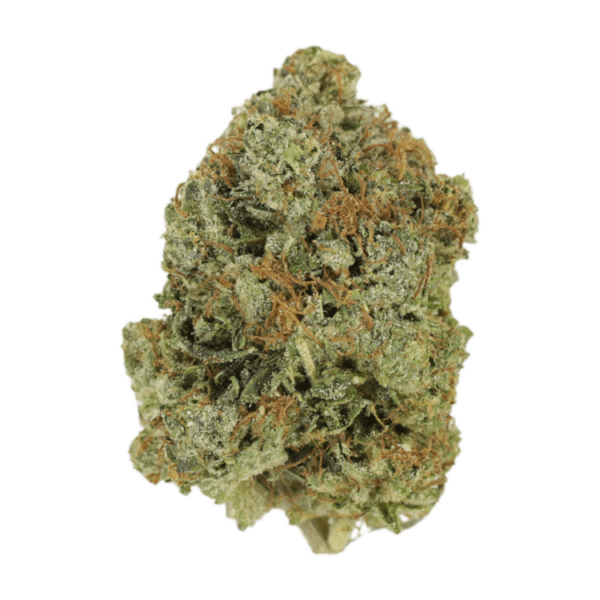 Watermelon Gelato | Herbal Dispatch Canada