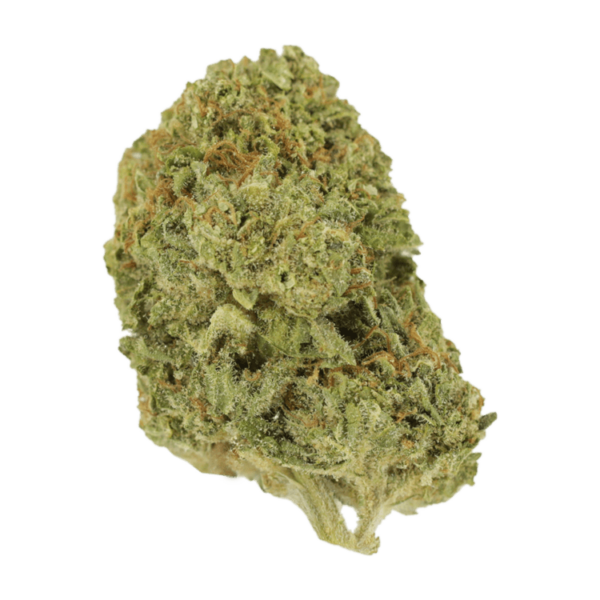 Mango Cream | Herbal Dispatch Canada