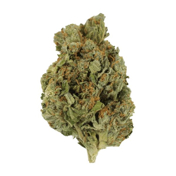 Mango Cream | Herbal Dispatch Canada