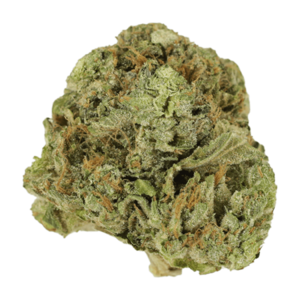 Mango Cream | Herbal Dispatch Canada