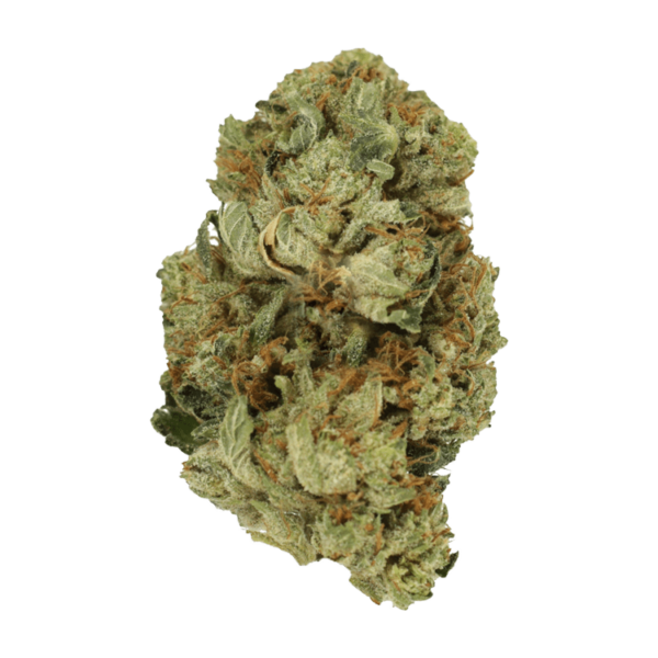 Pink Starburst | Herbal Dispatch Canada