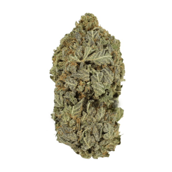 Purple Dream | Herbal Dispatch Canada