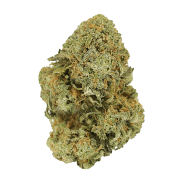 Watermelon Gelato | Herbal Dispatch Canada