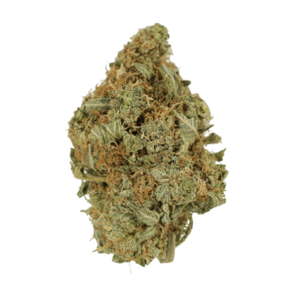 Herijuana | Herbal Dispatch Canada