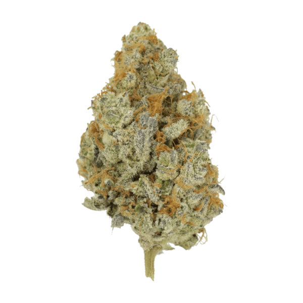 Peanut Butter Rockstar | Herbal Dispatch Canada