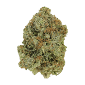 Jack Herer (popcorn) | Herbal Dispatch Canada