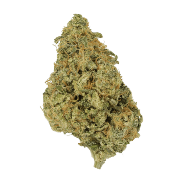 OG Lemon Haze | Herbal Dispatch Canada